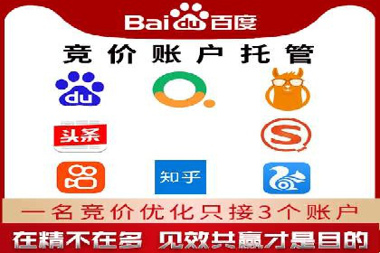 专业SEM代运营推广公司成功案例分享